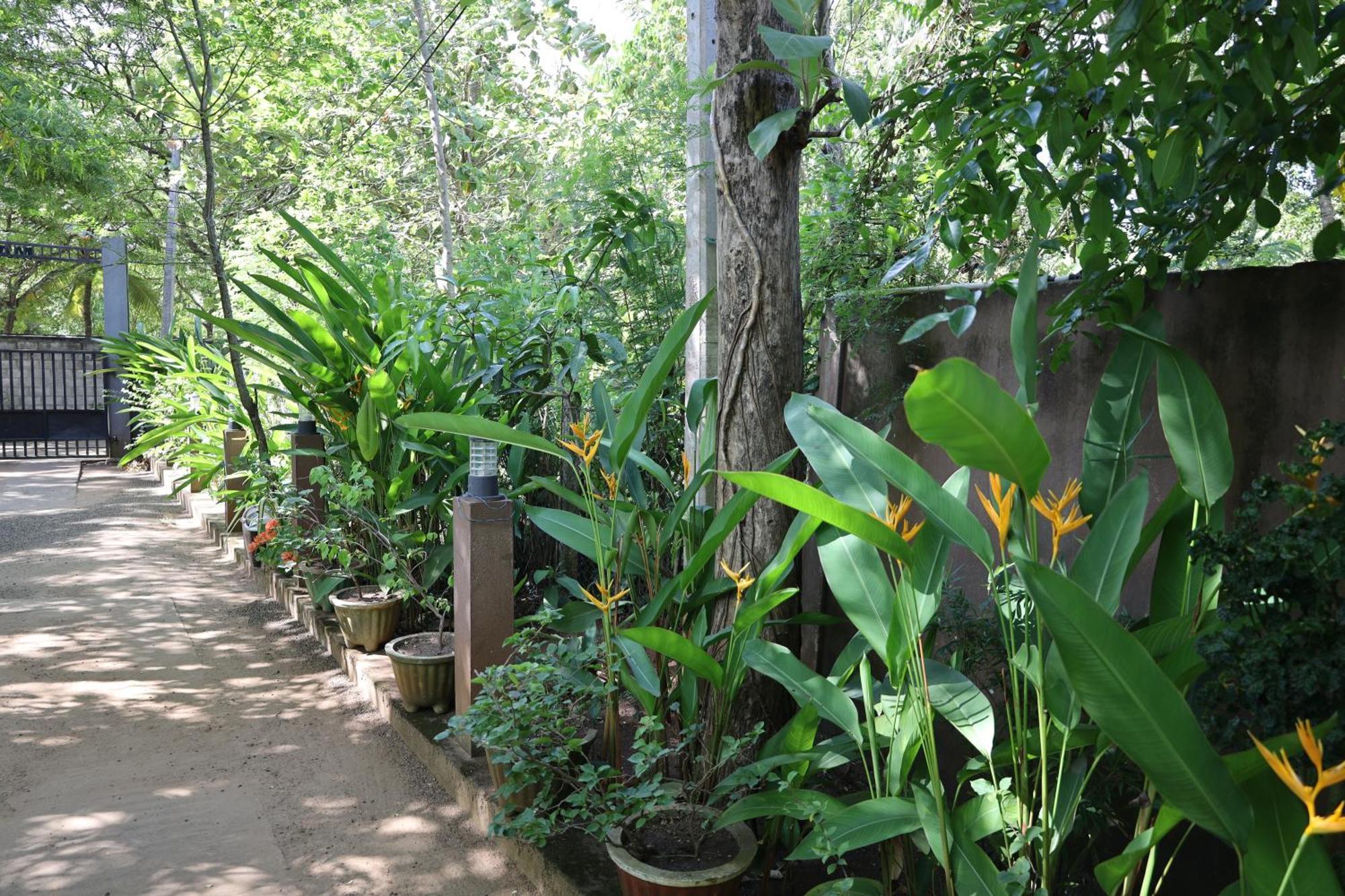 Max Safari Villa Udawalawe Buitenkant foto